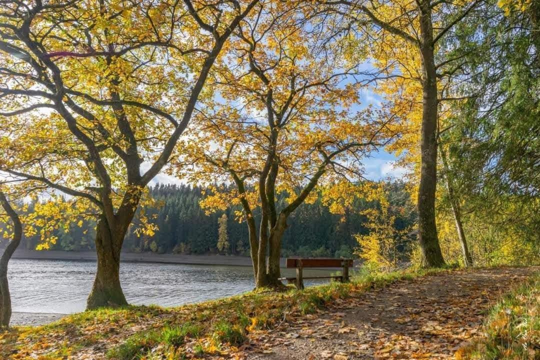 Lac Abane Au Lac Butgenbach Exterior foto