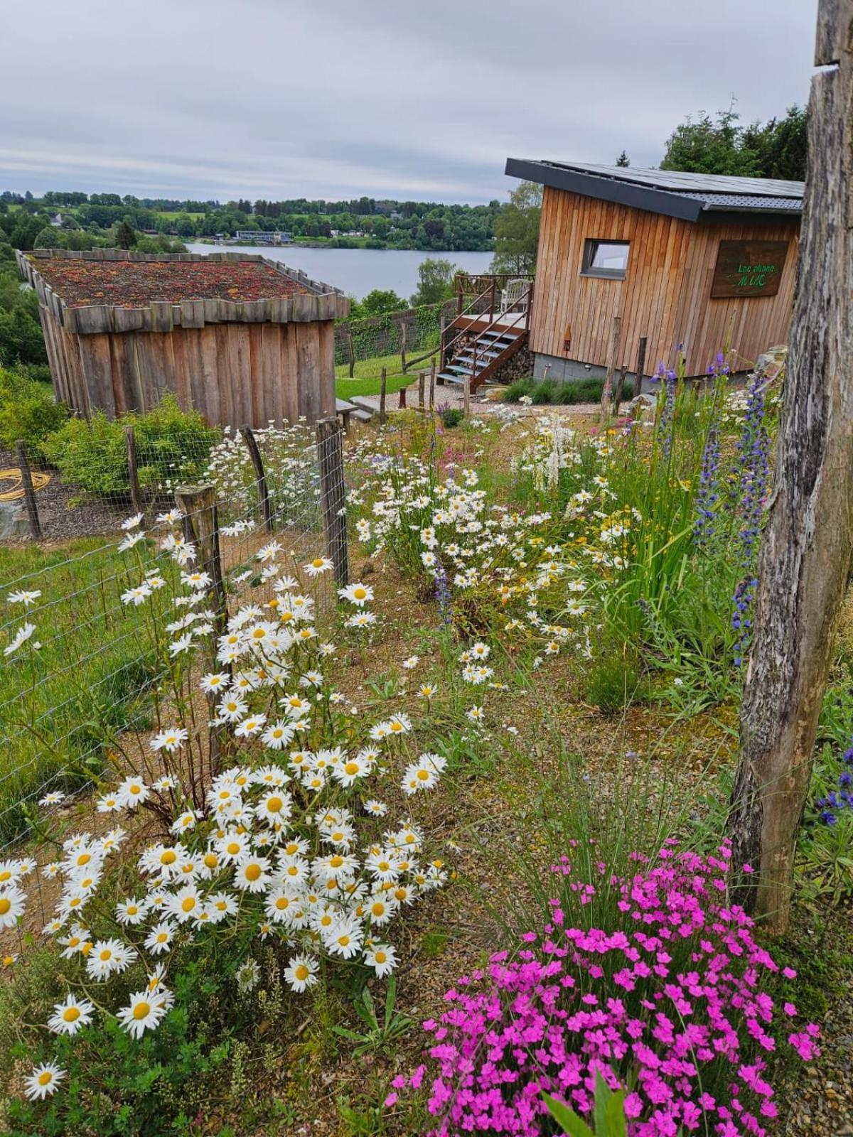 Lac Abane Au Lac Butgenbach Exterior foto